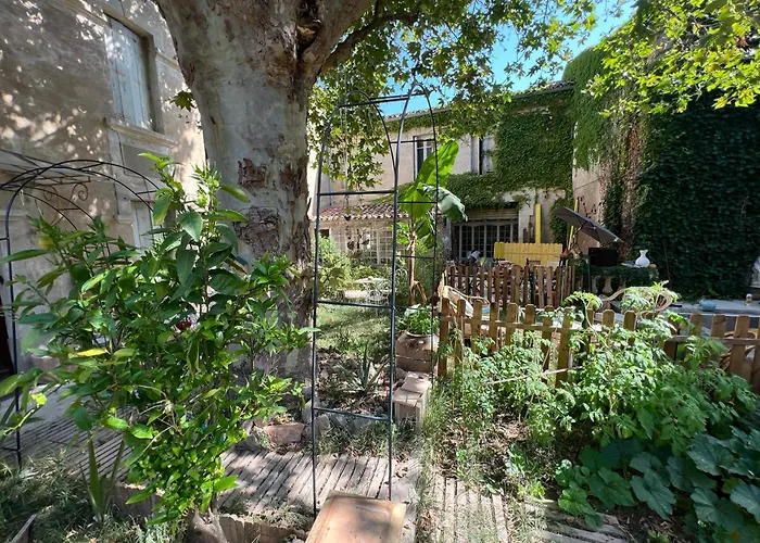 Bed & Breakfast La Maison Tataouine Moux